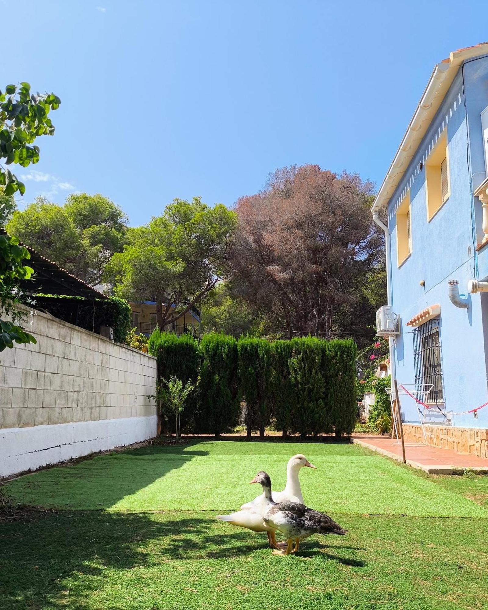 Estudio Las Rotas Denia Bagian luar foto
